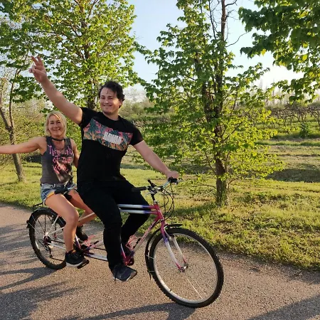 Kikapcs شقة Alsóörs